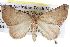  ( - BIOUG04004-G05)  @14 [ ] CreativeCommons - Attribution (2012) CBG Photography Group Centre for Biodiversity Genomics
