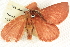  ( - BIOUG04032-B05)  @13 [ ] CreativeCommons - Attribution (2012) CBG Photography Group Centre for Biodiversity Genomics