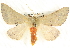  ( - BIOUG04032-B11)  @15 [ ] CreativeCommons - Attribution (2012) CBG Photography Group Centre for Biodiversity Genomics