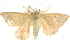  ( - BIOUG04032-G02)  @15 [ ] CreativeCommons - Attribution (2012) CBG Photography Group Centre for Biodiversity Genomics