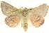  ( - BIOUG04032-G05)  @15 [ ] CreativeCommons - Attribution (2012) CBG Photography Group Centre for Biodiversity Genomics