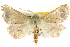  ( - BIOUG04032-H02)  @15 [ ] CreativeCommons - Attribution (2012) CBG Photography Group Centre for Biodiversity Genomics