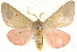  ( - BIOUG04032-H08)  @15 [ ] CreativeCommons - Attribution (2012) CBG Photography Group Centre for Biodiversity Genomics