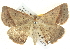  ( - BIOUG04032-H11)  @14 [ ] CreativeCommons - Attribution (2012) CBG Photography Group Centre for Biodiversity Genomics