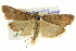  ( - BIOUG04033-A08)  @14 [ ] CreativeCommons - Attribution (2012) CBG Photography Group Centre for Biodiversity Genomics
