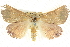  ( - BIOUG04033-E12)  @15 [ ] CreativeCommons - Attribution (2012) CBG Photography Group Centre for Biodiversity Genomics
