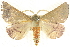  ( - BIOUG04033-F01)  @15 [ ] CreativeCommons - Attribution (2012) CBG Photography Group Centre for Biodiversity Genomics