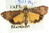  ( - BIOUG04033-F06)  @14 [ ] CreativeCommons - Attribution (2012) CBG Photography Group Centre for Biodiversity Genomics