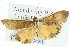  ( - BIOUG04033-F12)  @14 [ ] CreativeCommons - Attribution (2012) CBG Photography Group Centre for Biodiversity Genomics