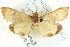  ( - BIOUG04033-H01)  @14 [ ] CreativeCommons - Attribution (2012) CBG Photography Group Centre for Biodiversity Genomics
