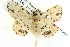  ( - BIOUG04033-H02)  @13 [ ] CreativeCommons - Attribution (2012) CBG Photography Group Centre for Biodiversity Genomics