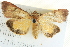  ( - BIOUG04033-H06)  @14 [ ] CreativeCommons - Attribution (2012) CBG Photography Group Centre for Biodiversity Genomics