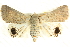  ( - BIOUG04034-E03)  @14 [ ] CreativeCommons - Attribution (2012) CBG Photography Group Centre for Biodiversity Genomics