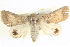  ( - BIOUG04034-F06)  @14 [ ] CreativeCommons - Attribution (2012) CBG Photography Group Centre for Biodiversity Genomics