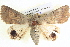  ( - BIOUG04034-F09)  @14 [ ] CreativeCommons - Attribution (2012) CBG Photography Group Centre for Biodiversity Genomics