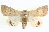  ( - BIOUG04034-F11)  @14 [ ] CreativeCommons - Attribution (2012) CBG Photography Group Centre for Biodiversity Genomics