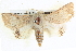  ( - BIOUG04034-F12)  @14 [ ] CreativeCommons - Attribution (2012) CBG Photography Group Centre for Biodiversity Genomics