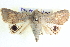  ( - BIOUG04034-G01)  @14 [ ] CreativeCommons - Attribution (2012) CBG Photography Group Centre for Biodiversity Genomics