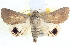  ( - BIOUG04034-G02)  @15 [ ] CreativeCommons - Attribution (2012) CBG Photography Group Centre for Biodiversity Genomics