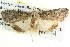  ( - BIOUG04035-C01)  @13 [ ] CreativeCommons - Attribution (2012) CBG Photography Group Centre for Biodiversity Genomics