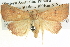  ( - BIOUG04035-C05)  @14 [ ] CreativeCommons - Attribution (2012) CBG Photography Group Centre for Biodiversity Genomics