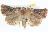  ( - BIOUG04036-E06)  @14 [ ] CreativeCommons - Attribution (2012) CBG Photography Group Centre for Biodiversity Genomics