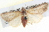 ( - BIOUG04036-F03)  @13 [ ] CreativeCommons - Attribution (2012) CBG Photography Group Centre for Biodiversity Genomics