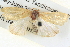  ( - BIOUG04036-G07)  @13 [ ] CreativeCommons - Attribution (2012) CBG Photography Group Centre for Biodiversity Genomics