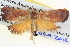  ( - BIOUG04036-H07)  @12 [ ] CreativeCommons - Attribution (2012) CBG Photography Group Centre for Biodiversity Genomics