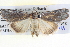 ( - BIOUG04037-A06)  @14 [ ] CreativeCommons - Attribution (2012) CBG Photography Group Centre for Biodiversity Genomics