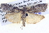  ( - BIOUG04037-A10)  @13 [ ] CreativeCommons - Attribution (2012) CBG Photography Group Centre for Biodiversity Genomics