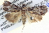  ( - BIOUG04037-B04)  @14 [ ] CreativeCommons - Attribution (2012) CBG Photography Group Centre for Biodiversity Genomics
