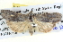 ( - BIOUG04037-B12)  @14 [ ] CreativeCommons - Attribution (2012) CBG Photography Group Centre for Biodiversity Genomics