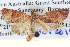  ( - BIOUG04037-E01)  @13 [ ] CreativeCommons - Attribution (2012) CBG Photography Group Centre for Biodiversity Genomics