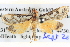  ( - BIOUG04037-E07)  @12 [ ] CreativeCommons - Attribution (2012) CBG Photography Group Centre for Biodiversity Genomics