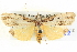  ( - BIOUG04037-E10)  @15 [ ] CreativeCommons - Attribution (2012) CBG Photography Group Centre for Biodiversity Genomics