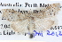  ( - BIOUG04037-G08)  @13 [ ] CreativeCommons - Attribution (2012) CBG Photography Group Centre for Biodiversity Genomics