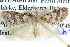  ( - BIOUG04037-H06)  @13 [ ] CreativeCommons - Attribution (2012) CBG Photography Group Centre for Biodiversity Genomics