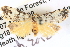  ( - BIOUG04038-B09)  @13 [ ] CreativeCommons - Attribution (2012) CBG Photography Group Centre for Biodiversity Genomics