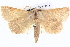  ( - BIOUG04038-C09)  @15 [ ] CreativeCommons - Attribution (2012) CBG Photography Group Centre for Biodiversity Genomics