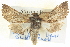  ( - BIOUG04038-E08)  @15 [ ] CreativeCommons - Attribution (2012) CBG Photography Group Centre for Biodiversity Genomics