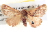  ( - BIOUG04038-G01)  @14 [ ] CreativeCommons - Attribution (2012) CBG Photography Group Centre for Biodiversity Genomics