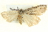  ( - BIOUG04039-C02)  @12 [ ] CreativeCommons - Attribution (2012) CBG Photography Group Centre for Biodiversity Genomics