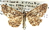  ( - BIOUG04039-E11)  @14 [ ] CreativeCommons - Attribution (2012) CBG Photography Group Centre for Biodiversity Genomics