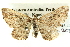  ( - BIOUG04039-G05)  @13 [ ] CreativeCommons - Attribution (2012) CBG Photography Group Centre for Biodiversity Genomics