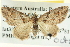  ( - BIOUG04039-H01)  @14 [ ] CreativeCommons - Attribution (2012) CBG Photography Group Centre for Biodiversity Genomics