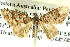  ( - BIOUG04039-H06)  @14 [ ] CreativeCommons - Attribution (2012) CBG Photography Group Centre for Biodiversity Genomics