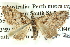  ( - BIOUG04039-H07)  @14 [ ] CreativeCommons - Attribution (2012) CBG Photography Group Centre for Biodiversity Genomics