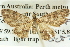  ( - BIOUG04039-H10)  @13 [ ] CreativeCommons - Attribution (2012) CBG Photography Group Centre for Biodiversity Genomics