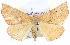  ( - BIOUG04098-B06)  @13 [ ] CreativeCommons - Attribution (2012) CBG Photography Group Centre for Biodiversity Genomics